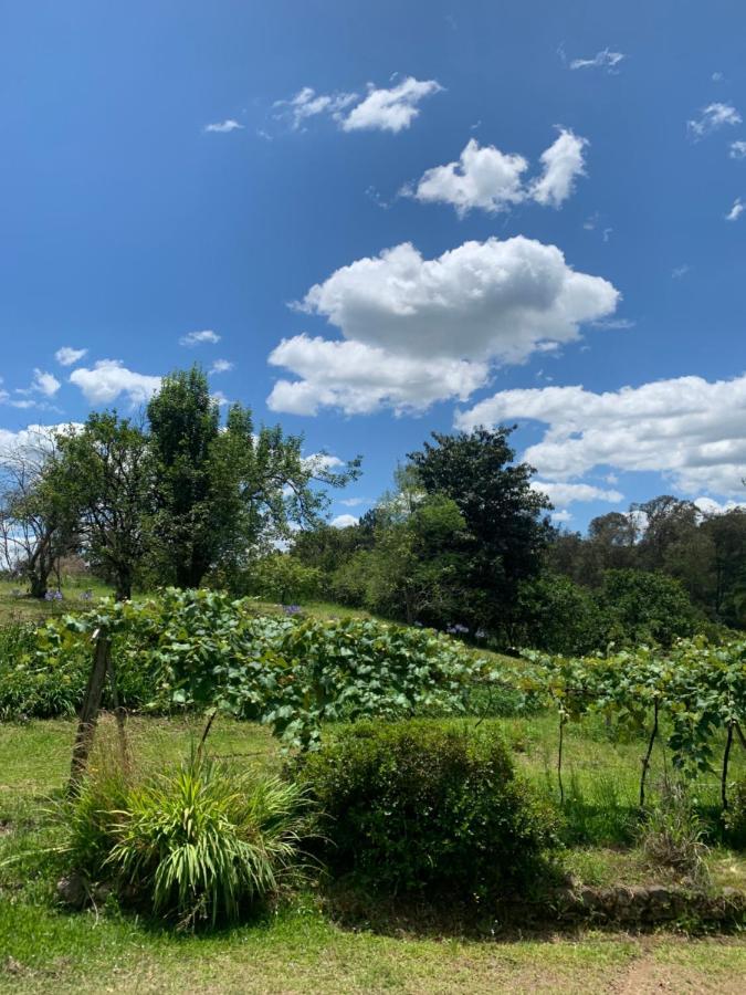 Sitio Vale Dos Vinhedos Villa Bento Goncalves Luaran gambar